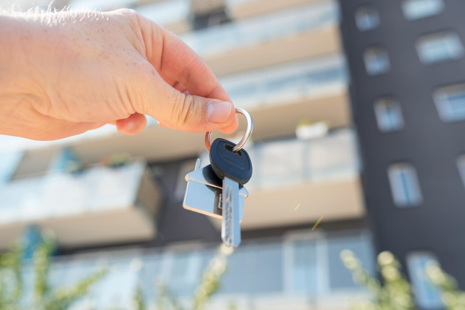 Reality - nákup, prodej a pronájem